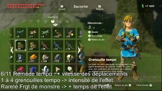 The Legend of Zelda BotW  Guide des 11 remèdes recettes conseils [upl. by Olnee]