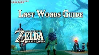 LOST WOODS GUIDE  Zelda Breath of the Wild [upl. by Aniratac]