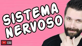 SISTEMA NERVOSO  FISIOLOGIA  Aula  Biologia com Samuel Cunha [upl. by Badger966]